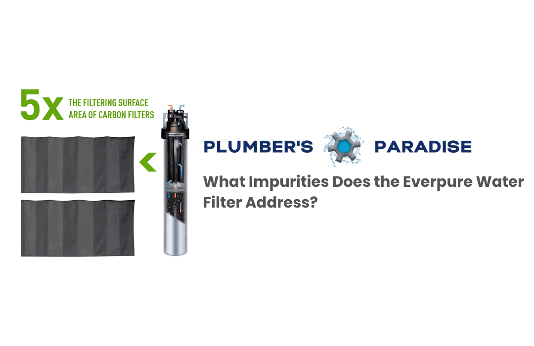 What Impurities Does the Everpure Water Filter Address?