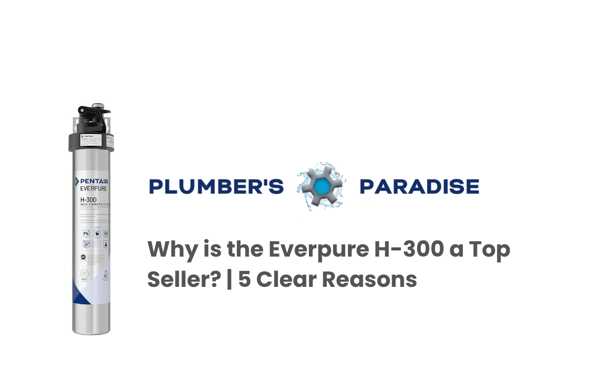 Everpure H-300