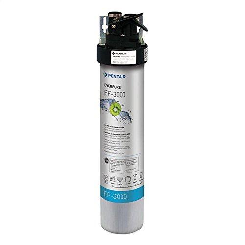 Everpure EV985700