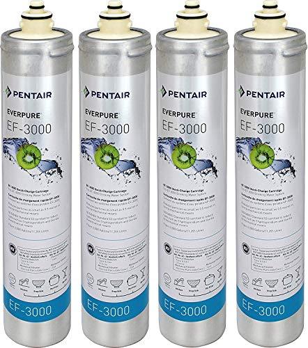 Everpure EV985750