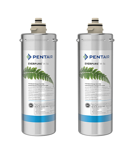 Everpure EV925268_2PK