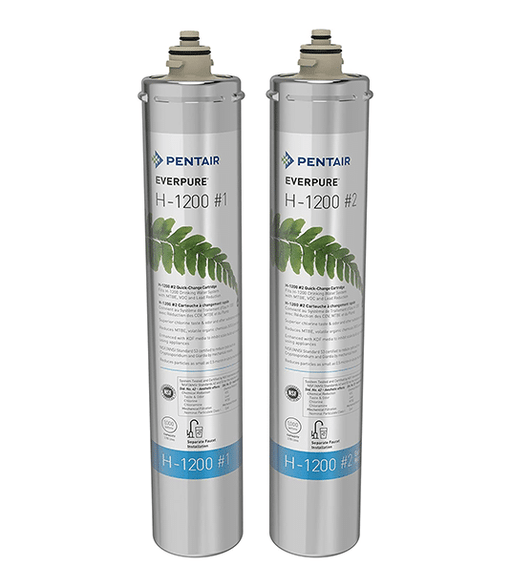 Everpure EV928201_2PK