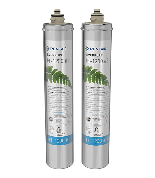 Everpure EV928201_2PK