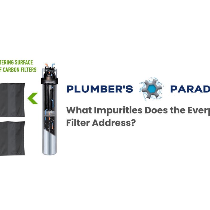 What Impurities Does the Everpure Water Filter Address?