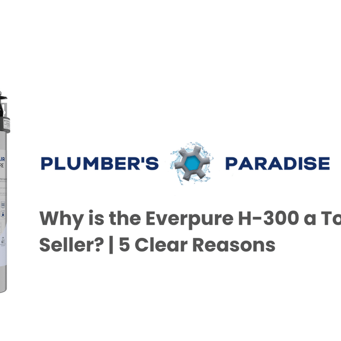 Everpure H-300