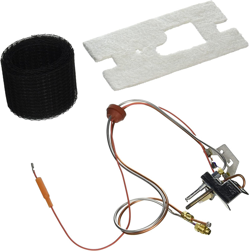 A. O. Smith 100109295