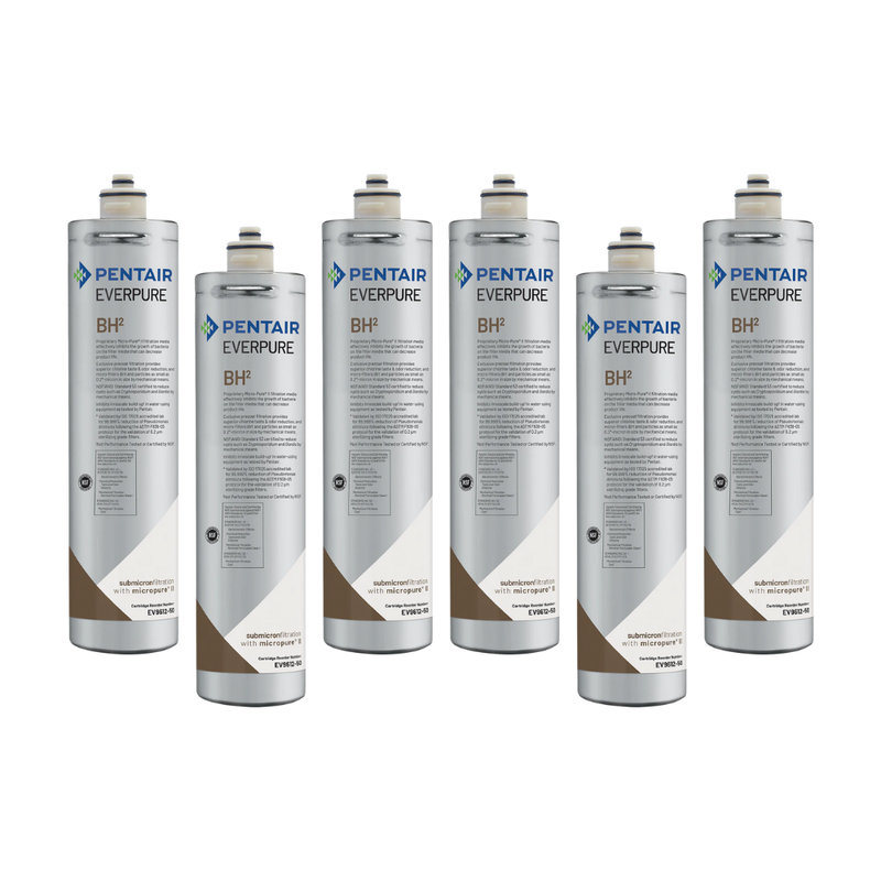 Everpure (EV961251) | BH2 Replacement Cartridge, 3,000 Gal, 6 Pack