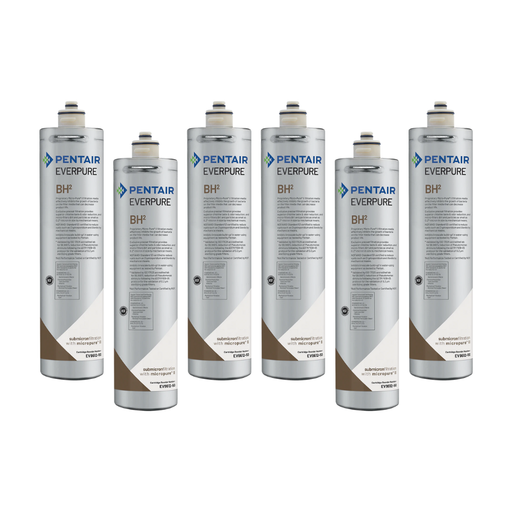 Everpure (EV961251) | BH2 Replacement Cartridge, 3,000 Gal, 6 Pack