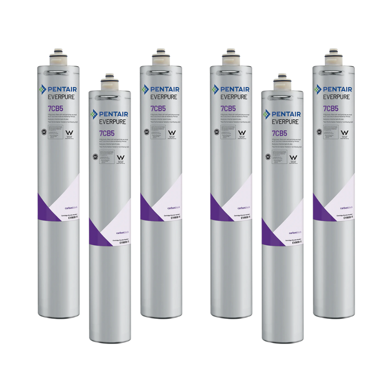 Everpure (EV961816) | 7CB5 Replacement Cartridge, 10,000 Gal, 6 Pack