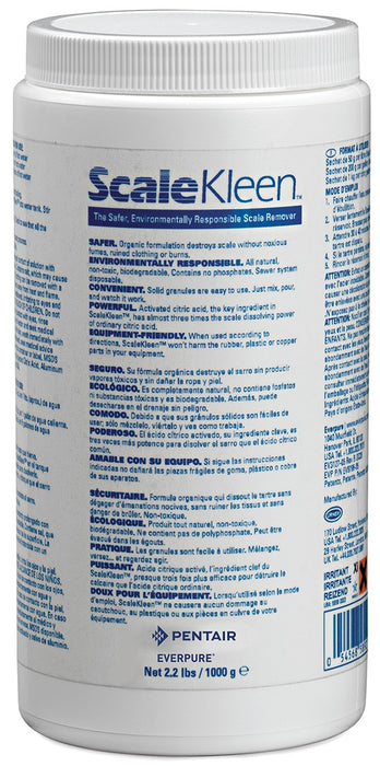 Everpure (EV979833) | ScaleKleen Scale Remover
