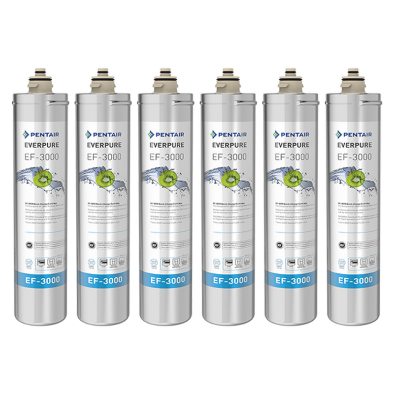 Pentair Everpure EF-3000 (EV985756)