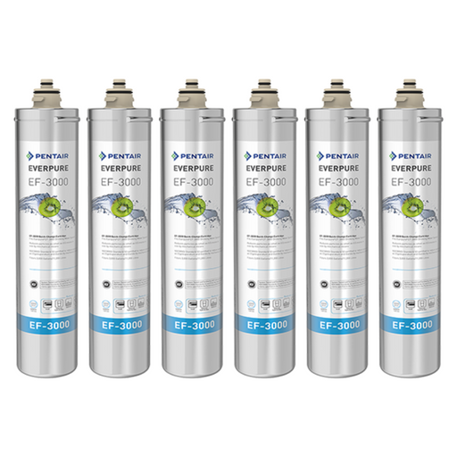 Pentair Everpure EF-3000 (EV985756)