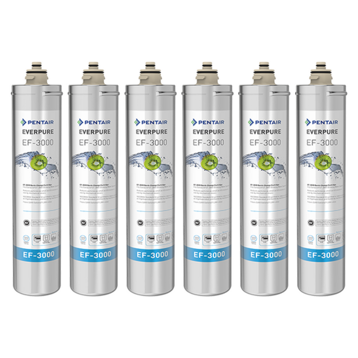 Pentair Everpure EF-3000 (EV985756)