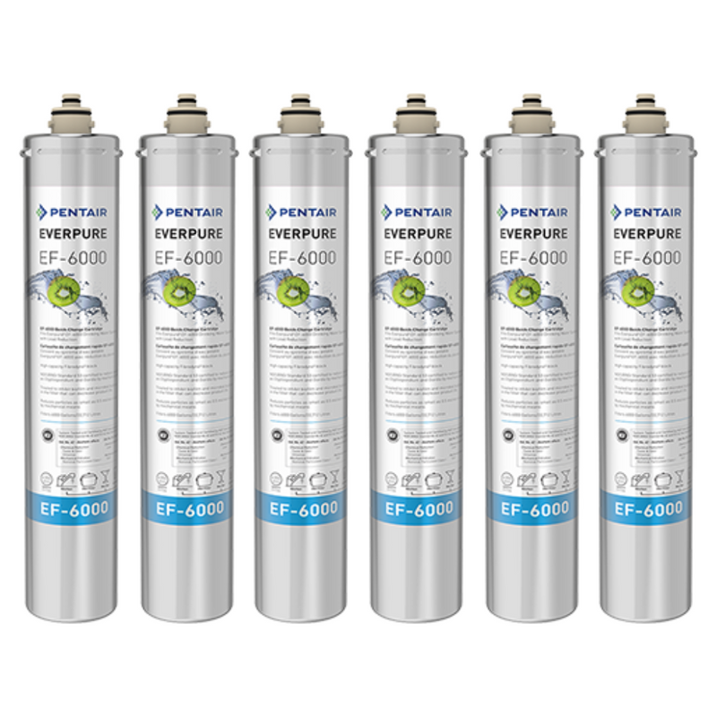Pentair Everpure EF-6000 (EV985556)