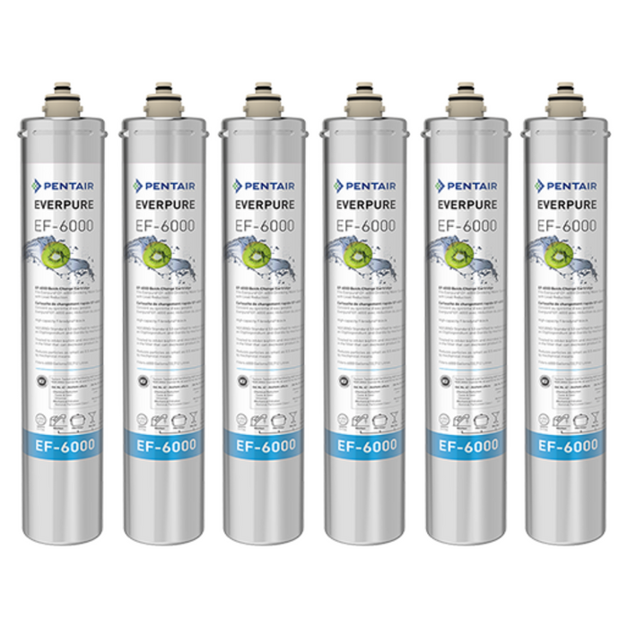 Pentair Everpure EF-6000 (EV985556)