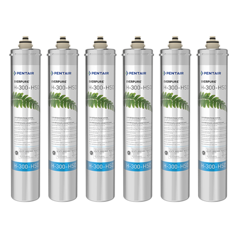 Pentair Everpure H-300-HSD (EV927074) 
