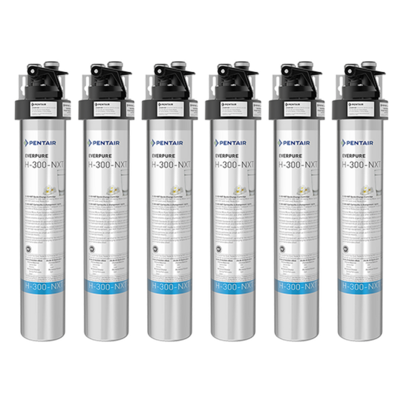 Pentair Everpure H-300-NXT (EV927156)