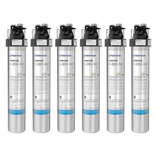Pentair Everpure H-300-NXT (EV927156)