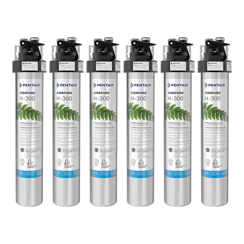 Pentair Everpure H-300 (EV927070)