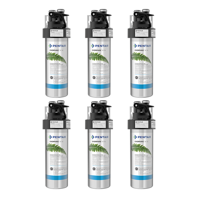 Pentair Everpure EV925266 