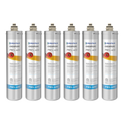 Pentair Everpure PBS-400 (EV927087) | 6 Pack