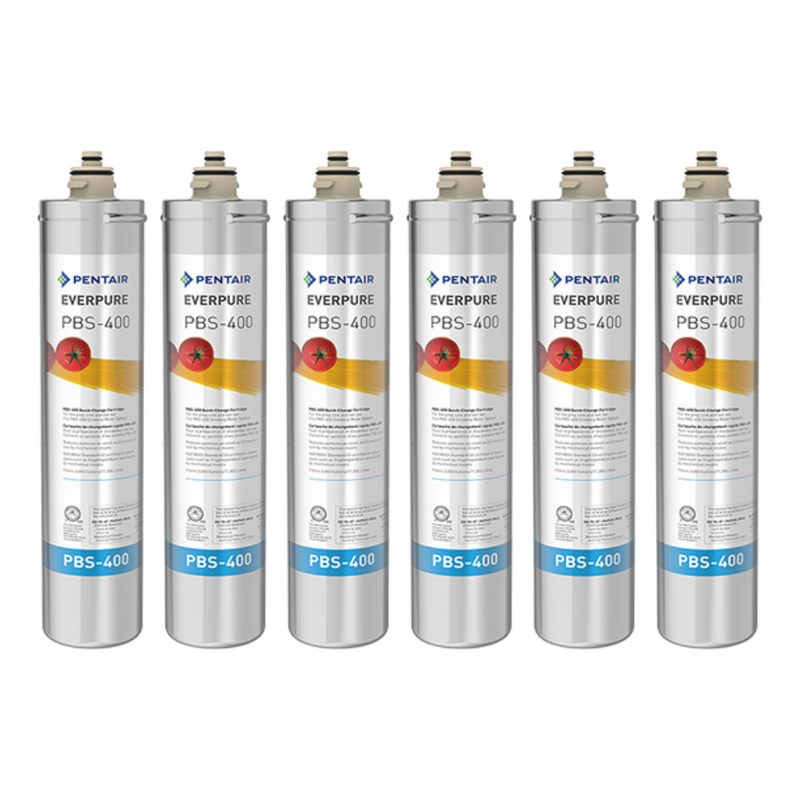 Pentair Everpure PBS-400 (EV927087) | 6 Pack