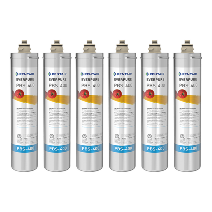 Pentair Everpure PBS-400 (EV927087) | 6 Pack
