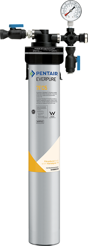 Everpure (EV920231)