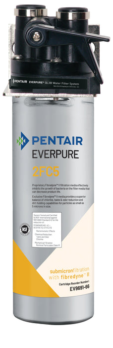 Everpure (EV925970)