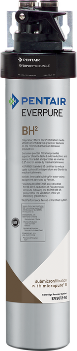 Everpure (EV927200)