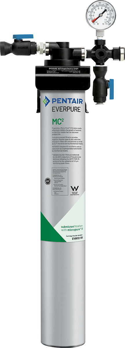 Everpure (EV927501)