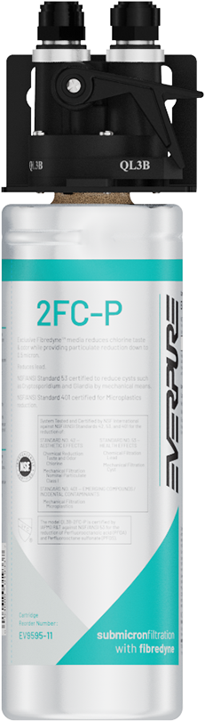 Everpure (EV929800)