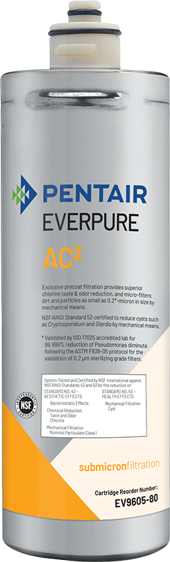 Everpure (EV960580)