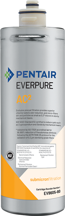 Everpure (EV960580)