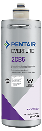 Everpure (EV961705)