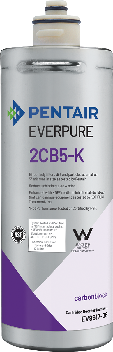 Everpure (EV961706)
