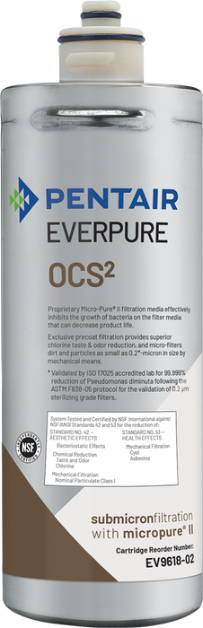 Everpure (EV961807)