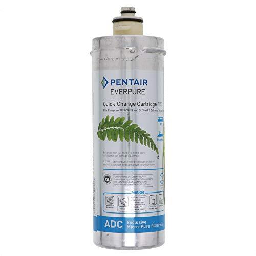 Everpure EV959206 ADC Full Timer RV Water Filter Cartridge-- (Package Of 2)