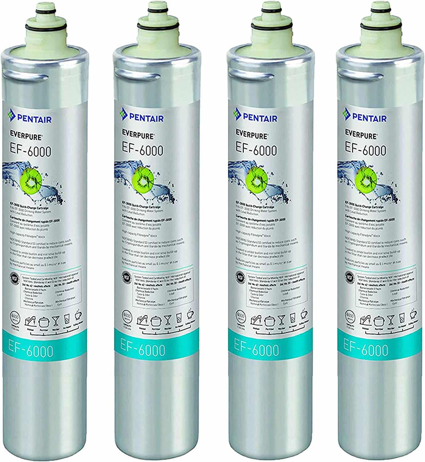 Everpure Water Filters 