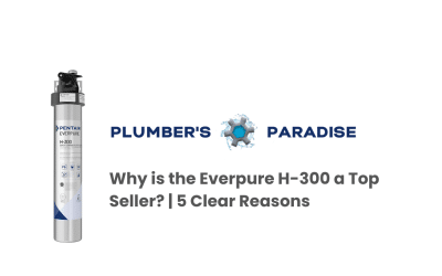 Why is the Everpure H-300 a Top Seller? | 5 Clear Reasons